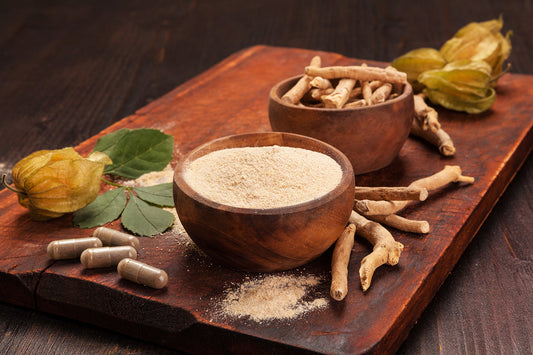 Ashwagandha – unbegründeter Hype oder Durchbruch einer traditionellen Heilpflanze?