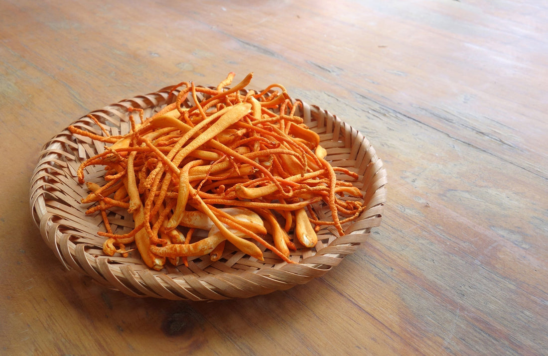 Cordyceps – Der Vitalpilz für Energie und Ausdauer