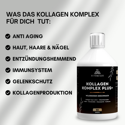 Kollagen Komplex PLUS+ Drink mit Hyaluronsäure, MSM & Vitaminen – Wildbeergeschmack - 500ml